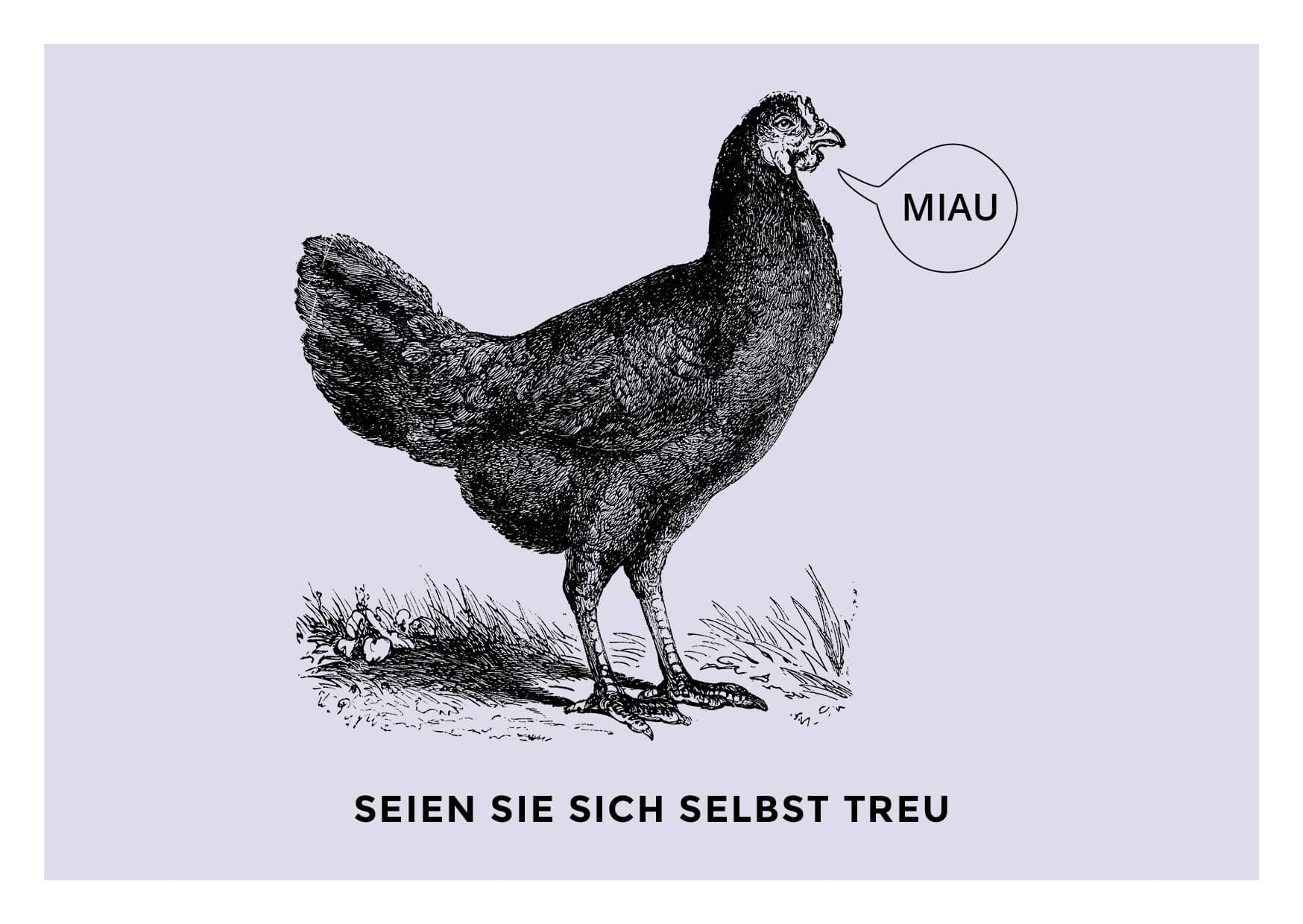 Illustration und Visual Content