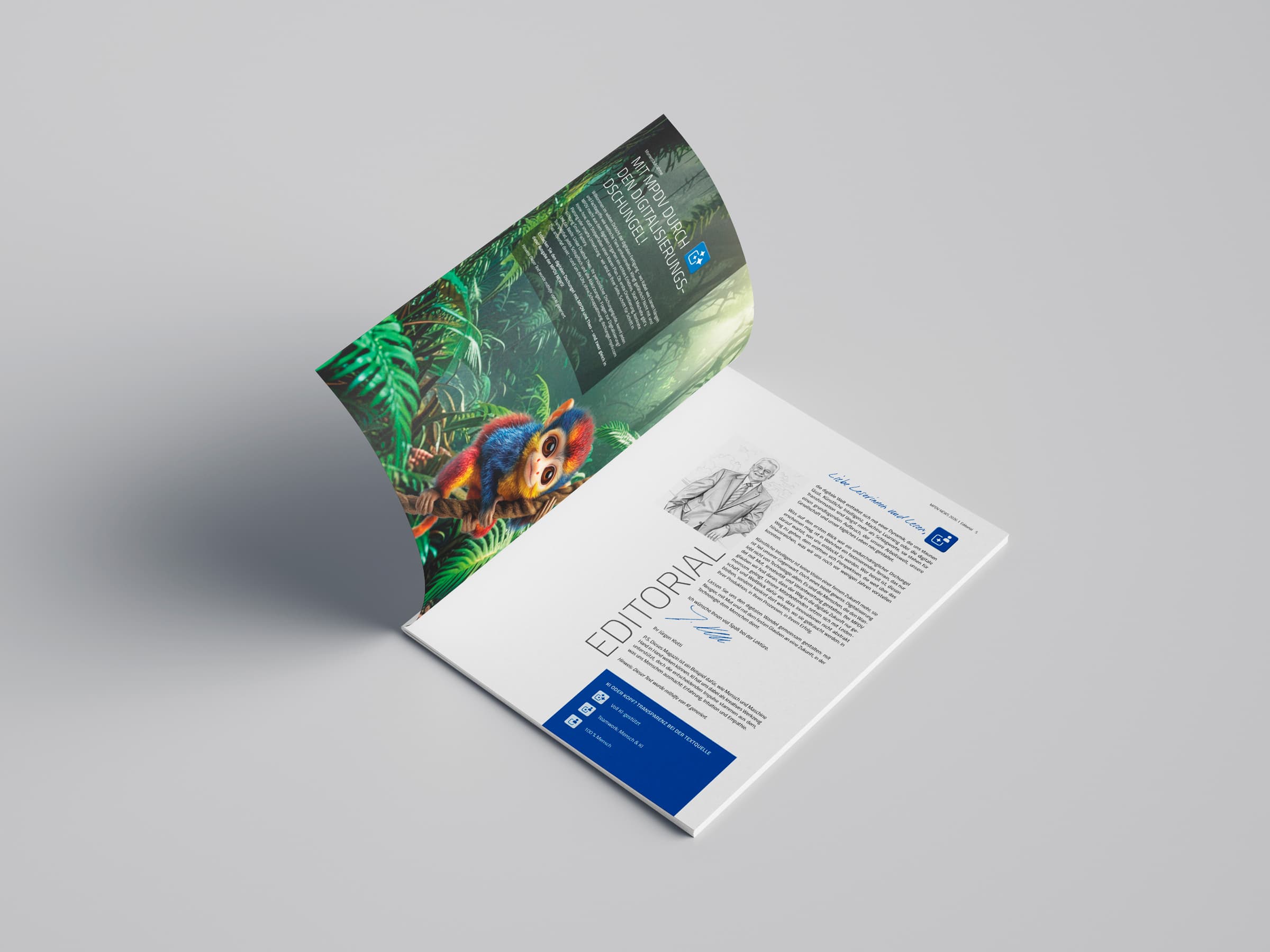 Editorial Design für MPDV Mikrolab GmbH